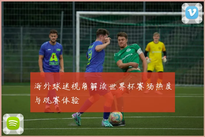 海外球迷视角解读世界杯赛场热度与观赛体验