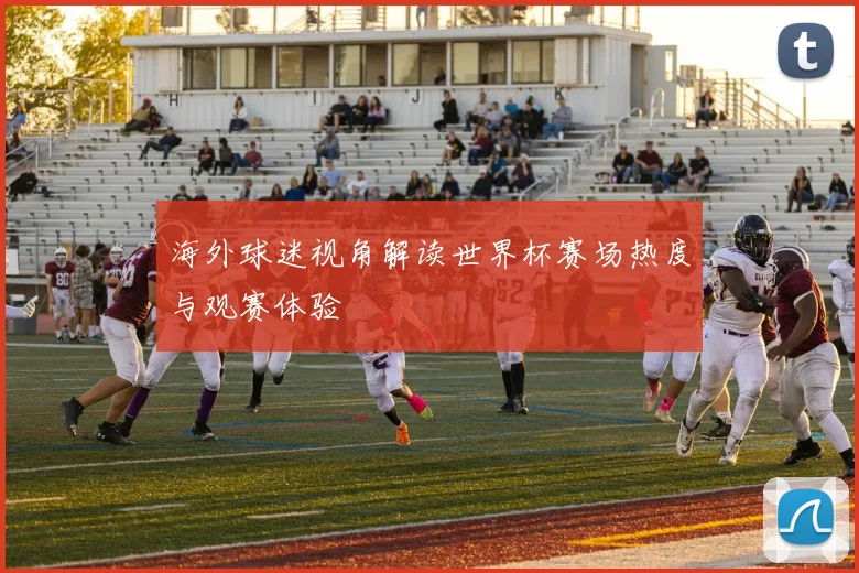 海外球迷视角解读世界杯赛场热度与观赛体验
